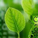 Green leaves and eco-friendly symbols representing sustainability